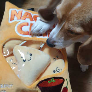 beaglelove님이 올린 리뷰 사진 2