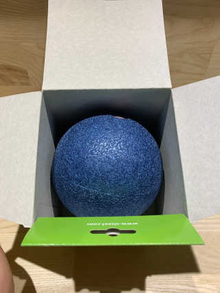 [시셀코리아] 시셀 셀프 싱글 볼 12cm-블루 — 4점을 준 리뷰어가 2020년 10월 올린 사용 사진