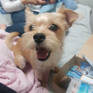 세지니힛님이 올린 리뷰 사진 2