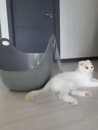 하이님이 올린 리뷰 사진 1