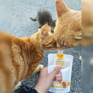 늉2님이 올린 리뷰 사진 1