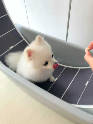 최스타님이 올린 리뷰 사진 2