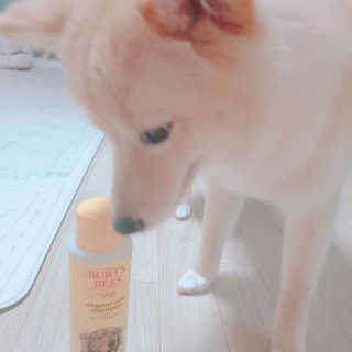 🎀딸 ♥️랑 🔆구🍭님이 올린 리뷰 사진 4