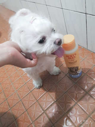 두부님이 올린 리뷰 사진 2