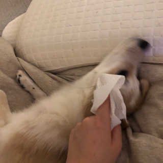 끙님이 올린 리뷰 사진 3