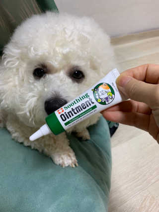 써니님이 올린 리뷰 사진 2