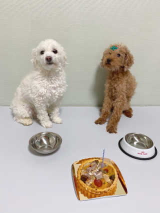 토랑이님이 올린 리뷰 사진 3