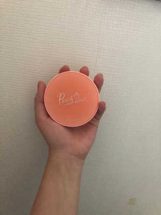 [블랙루즈] 피치 커버 벨벳 쿠션 2종 중 택1 — 5점을 준 리뷰어가 2020년 8월 올린 사용 사진