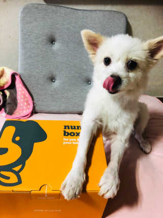 Lily님이 올린 리뷰 사진 2