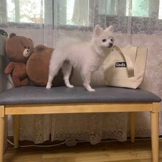 희서님이 올린 리뷰 사진 1