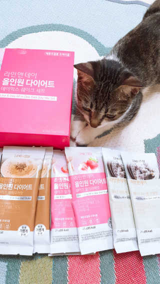 jju님이 올린 리뷰 사진 2