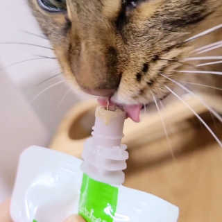 jemjug님이 올린 리뷰 사진 4