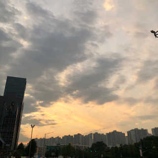 윤배우님이 올린 리뷰 사진 3