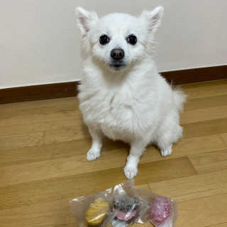 펭하하님이 올린 리뷰 사진 1