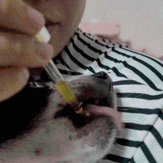 노이님이 올린 리뷰 사진 1