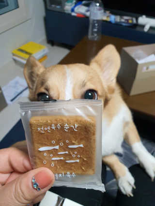 호잇님이 올린 리뷰 사진 1