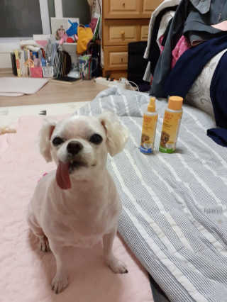 미도르님이 올린 리뷰 사진 1