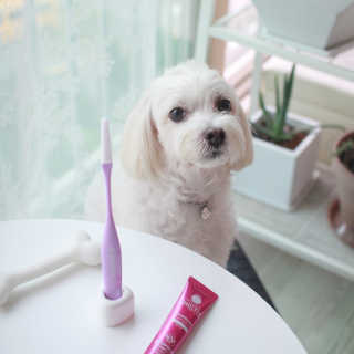 양양님이 올린 리뷰 사진 1