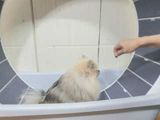 쑤닝님이 올린 리뷰 사진 2