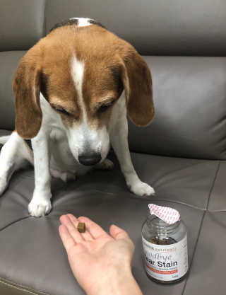 지우님이 올린 리뷰 사진 4