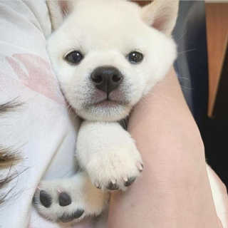 지언님이 올린 리뷰 사진 3