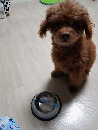 준맘님이 올린 리뷰 사진 4