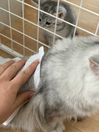 내리소님이 올린 리뷰 사진 3