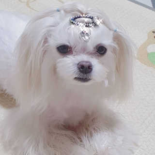 라미맘님이 올린 리뷰 사진 3