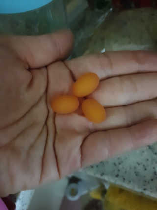 달려라하니님이 올린 리뷰 사진 1