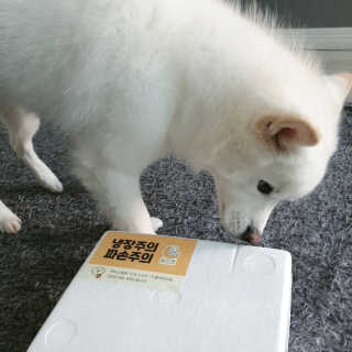 kay님이 올린 리뷰 사진 2