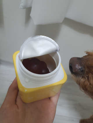 순딩한쿠키님이 올린 리뷰 사진 4