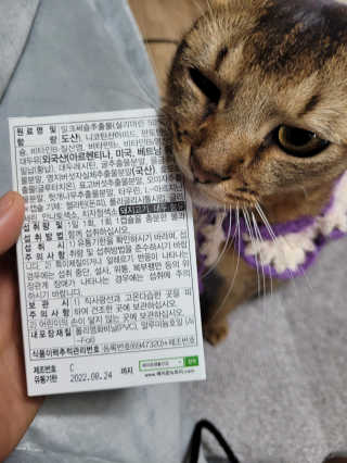 kira님이 올린 리뷰 사진 3