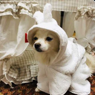 쏭블리님이 올린 리뷰 사진 3