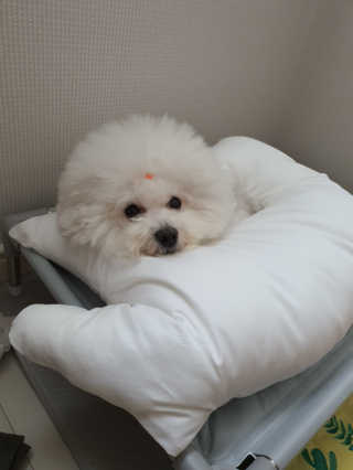 hyun♡님이 올린 리뷰 사진 2