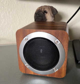 SEVIZ MINI10W 레트로 블루투스 스피커 — 4점을 준 리뷰어가 2020년 10월 올린 사용 사진