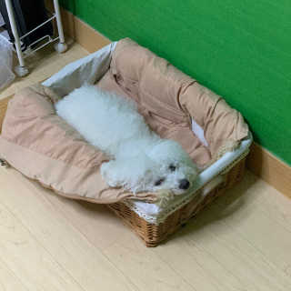강밥풀님이 올린 리뷰 사진 3
