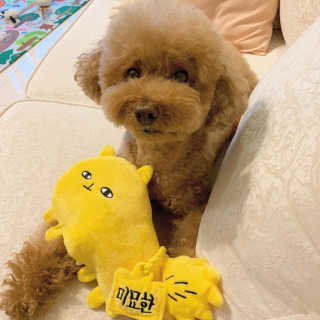 뚜루님이 올린 리뷰 사진 3
