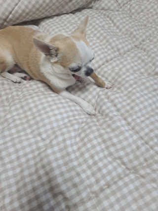 보리보리님이 올린 리뷰 사진 4