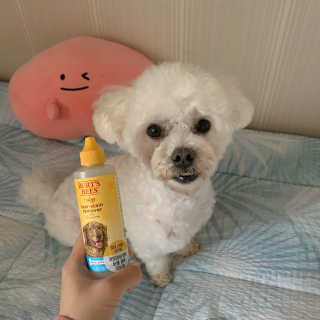 설량님이 올린 리뷰 사진 1