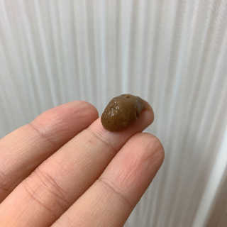수경이야님이 올린 리뷰 사진 2