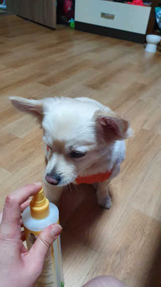 임예슬님이 올린 리뷰 사진 4