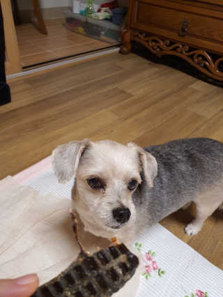 쮸동비님이 올린 리뷰 사진 4
