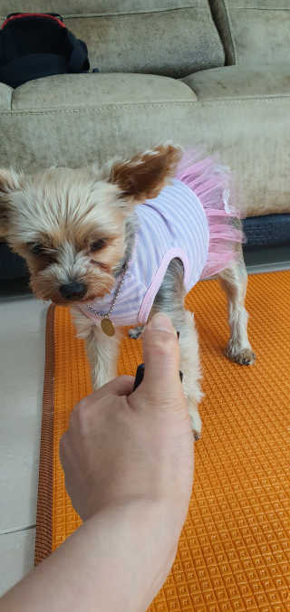 임방글님이 올린 리뷰 사진 3