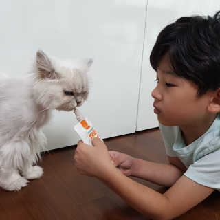 이남매맘님이 올린 리뷰 사진 4