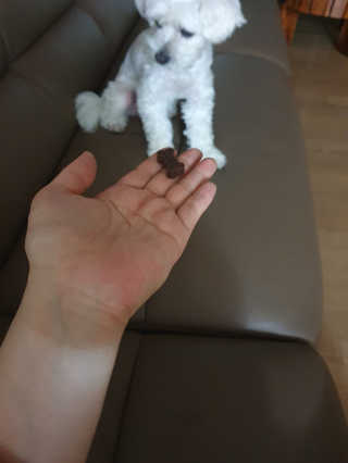 데이지맘님이 올린 리뷰 사진 3
