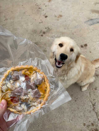 큐티윤님이 올린 리뷰 사진 3