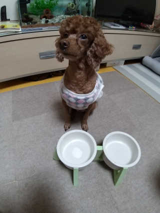 풀빛사랑님이 올린 리뷰 사진 3