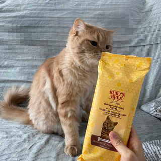 숩니님이 올린 리뷰 사진 2