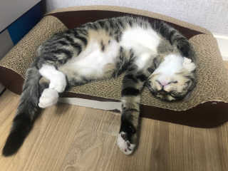 왓다동방러님이 올린 리뷰 사진 4
