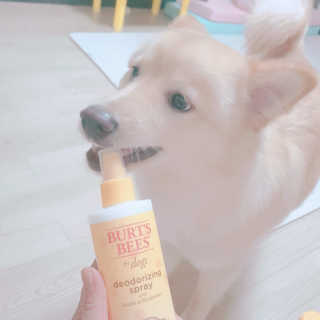 🎀딸 ♥️랑 🔆구🍭님이 올린 리뷰 사진 3